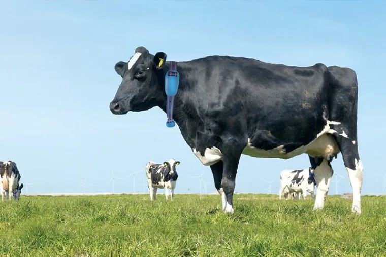4 Insights Diários Que Todo Fazendeiro Precisa para Gerenciamento Eficiente da Fazenda