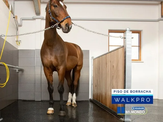 Piso de Borracha para Equinos Belmondo Walkpro Weizur
