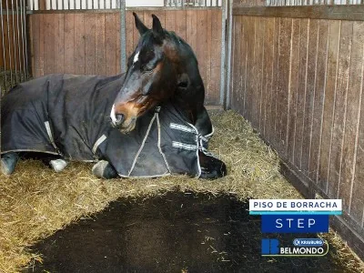 Piso de Borracha para Equinos Belmondo Basic
