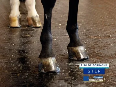 Piso de Borracha para Equinos Belmondo Basic 4