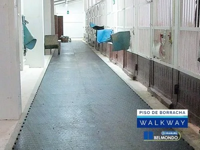 Piso de Borracha para Equinos Belmondo Walkway 3