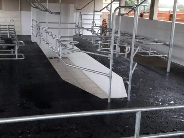 FOTOS_KARERA1.jpg